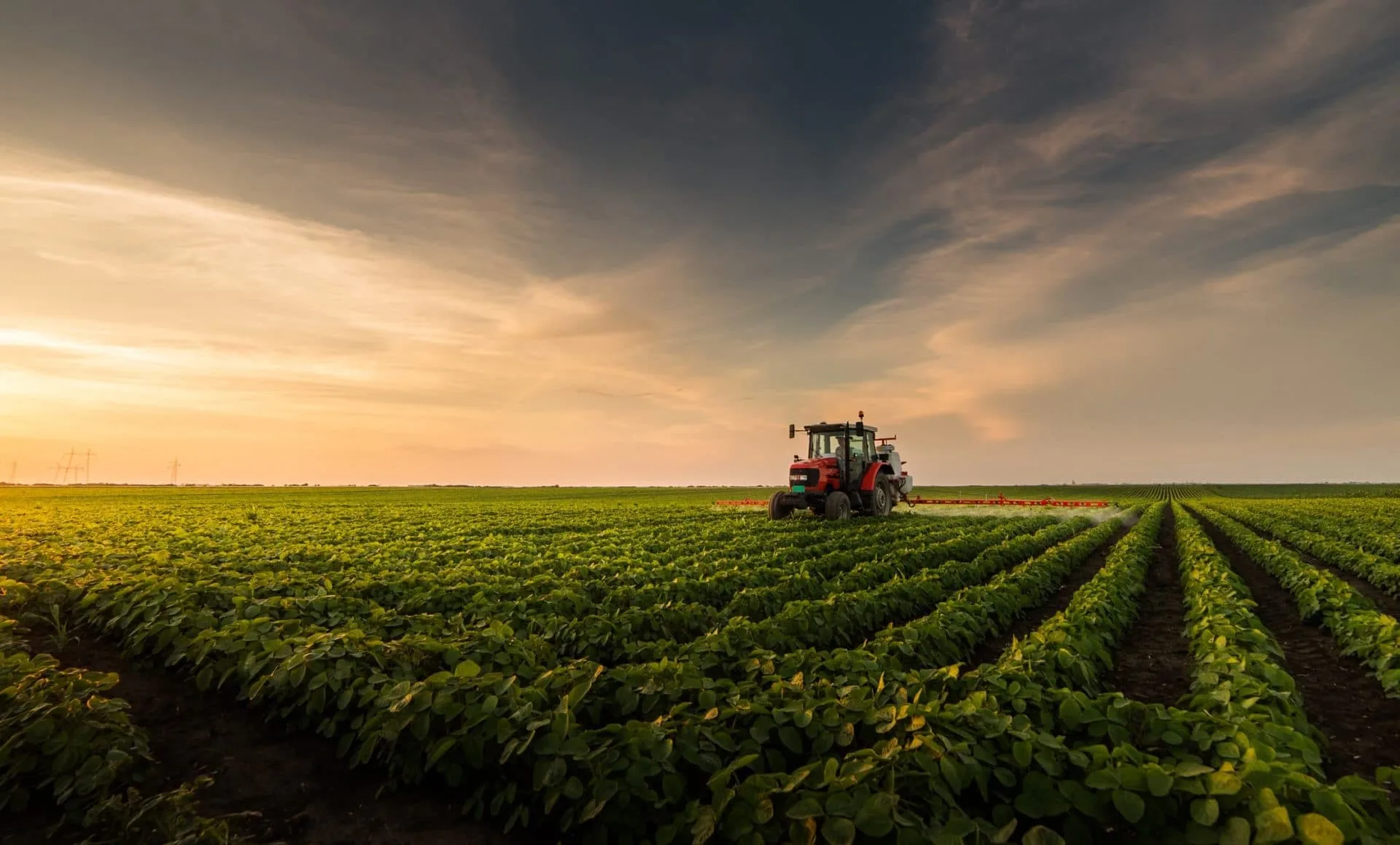 Marketing digital para o Agronegócio