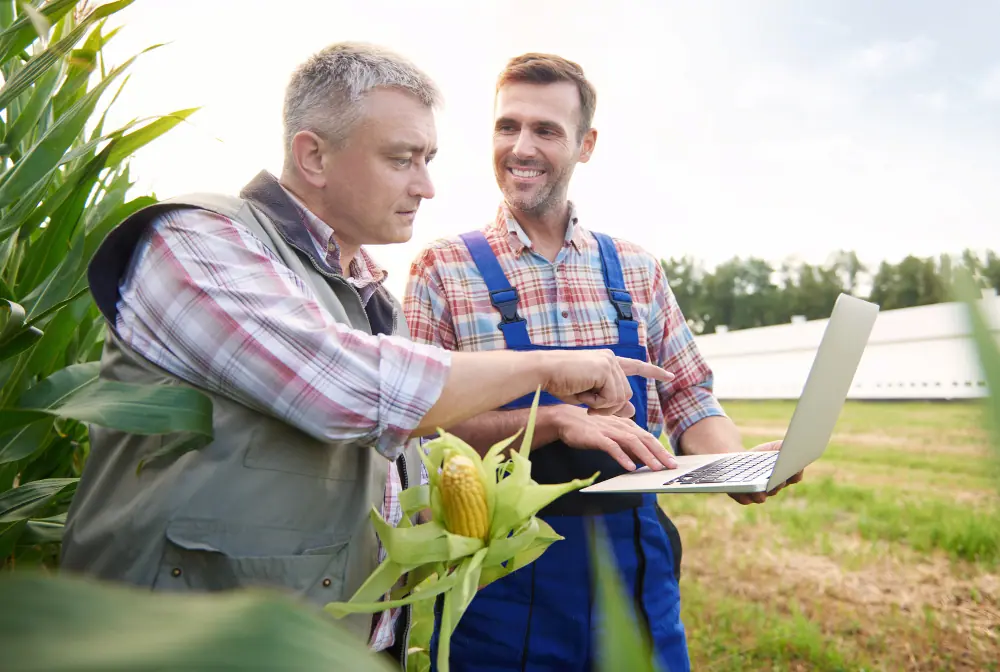 Como uma agência de marketing pode trazer soluções para o agronegócio